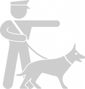 K9
