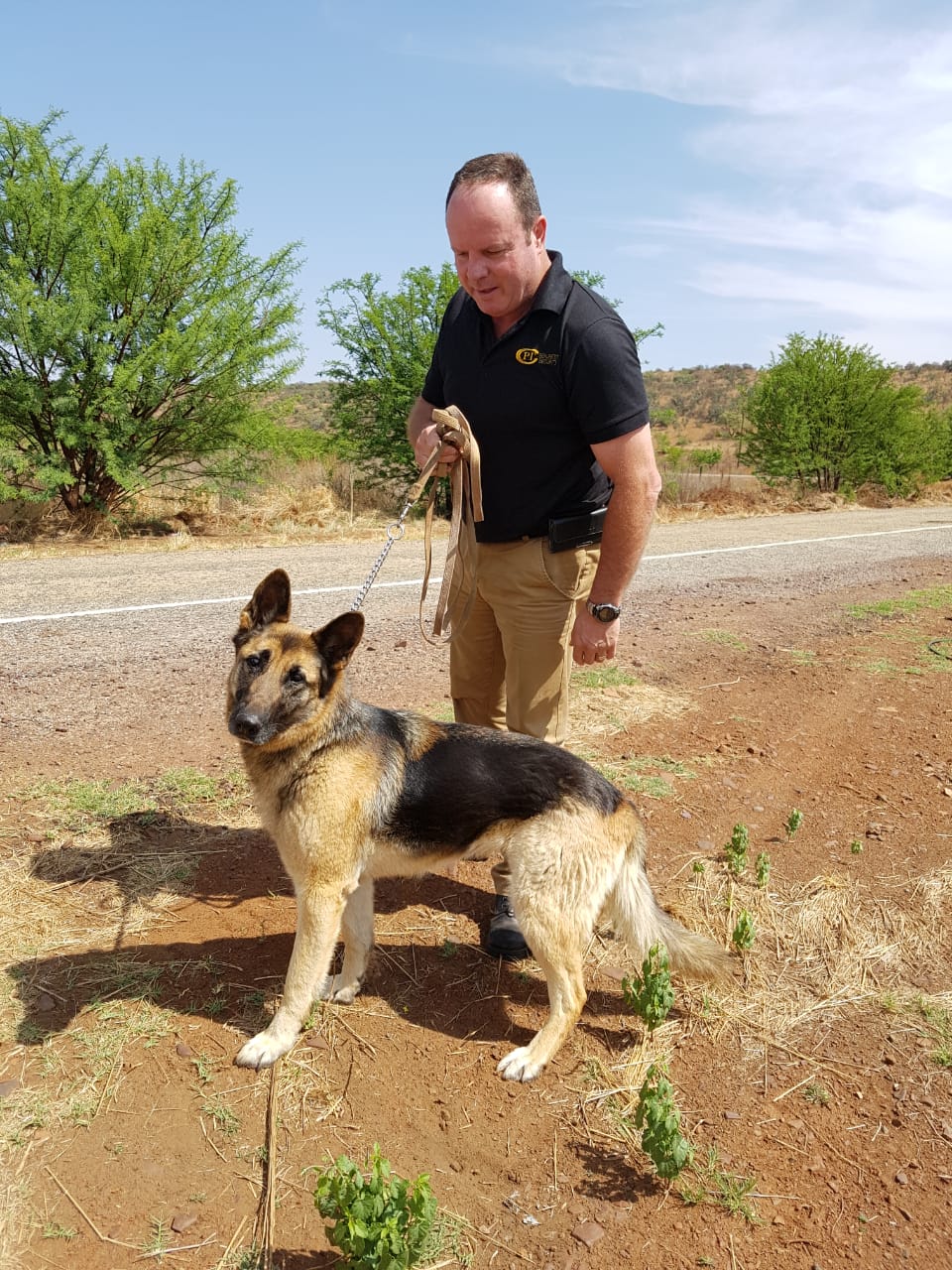 K9 Bella K9 Bella
